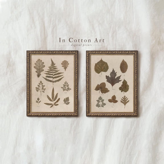 Vintage Botanical Leaf Poster Set Pressed Plant Wall Art Nature Illustration Gallery Decor Rustic Cottagecore P253, Set 2, Poster Only