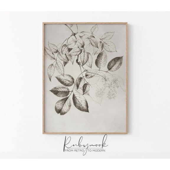 Vintage Botanical Leaf Sketch Unframed Paper Print