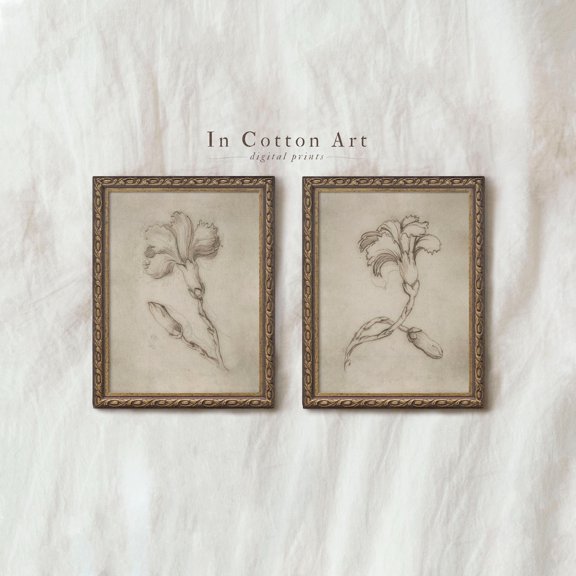 Vintage Botanical Neutral Drawing Brown Floral Artwork Flower Etching D9 Set 2 Stretched Canvas 12x18