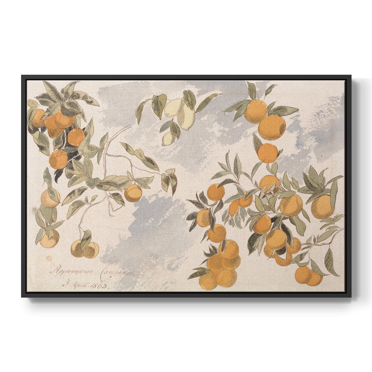 Vintage Botanical Print-IV By Wexford Home Framed in Black Wood Gallery Wrapped Canvas 27 in. x 41 in.