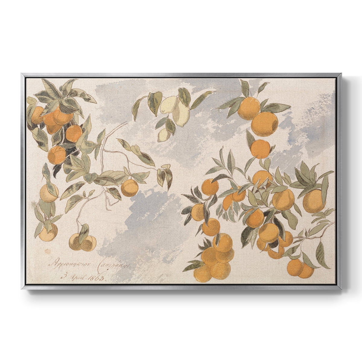 Vintage Botanical Print-IV By Wexford Home Framed in Silver Wood Gallery Wrapped Canvas 25 in. x 37 in.