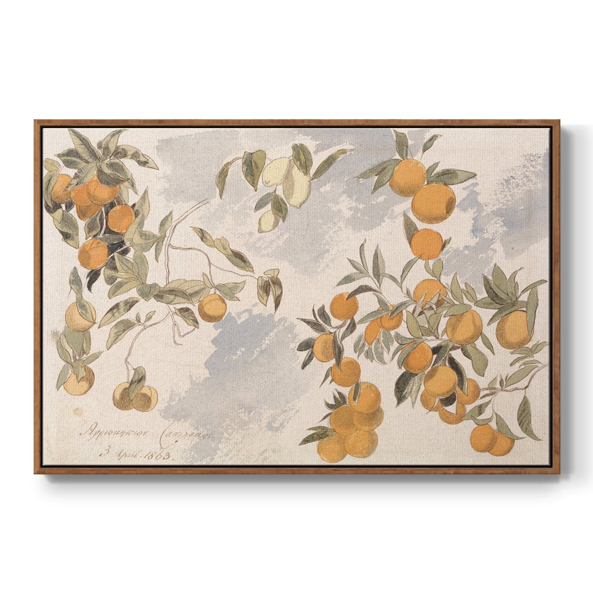Vintage Botanical Print-IV By Wexford Home Framed in Walnut Wood Gallery Wrapped Canvas 25 in. x 37 in.