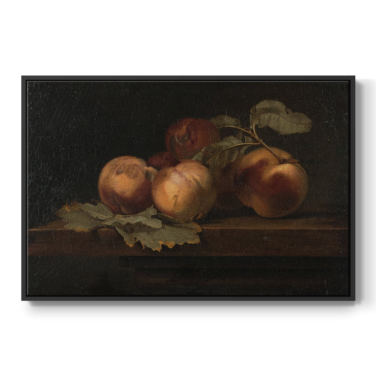 Vintage Botanical Print-LXXIX By Wexford Home Framed in Black Wood Gallery Wrapped Canvas 25 in. x 37 in.