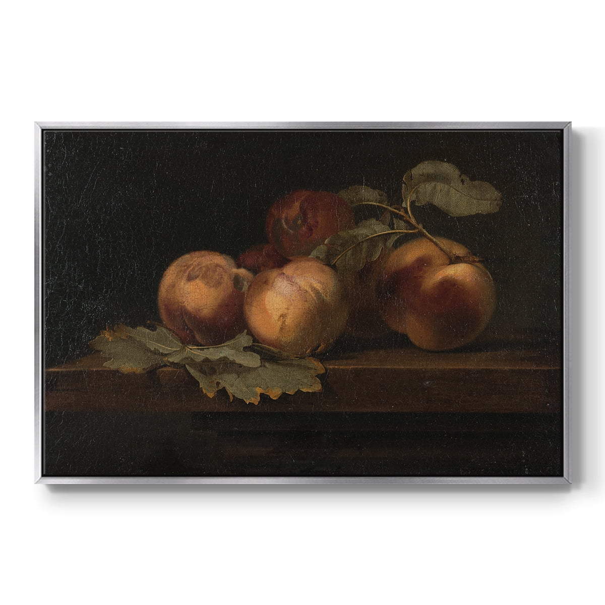 Vintage Botanical Print-LXXIX By Wexford Home Framed in Silver Wood Gallery Wrapped Canvas 17 in. x 25 in.