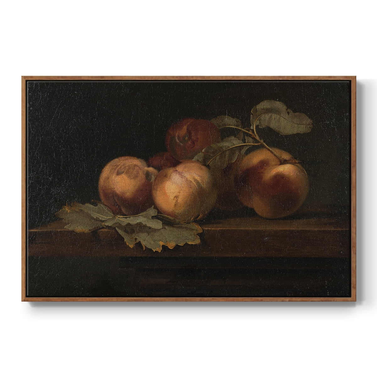 Vintage Botanical Print-LXXIX By Wexford Home Framed in Walnut Wood Gallery Wrapped Canvas 25 in. x 37 in.