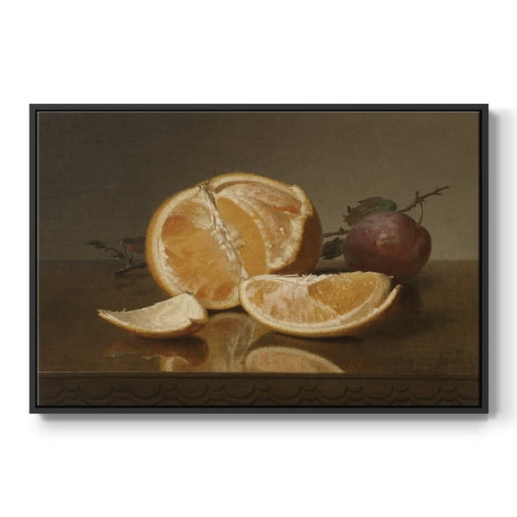 Vintage Botanical Print-LXXVII By Wexford Home Framed in Black Wood Gallery Wrapped Canvas 17 in. x 25 in.