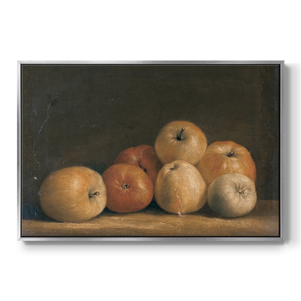 Vintage Botanical Print-LXXVIII By Wexford Home Framed in Silver Wood Gallery Wrapped Canvas 25 in. x 37 in.