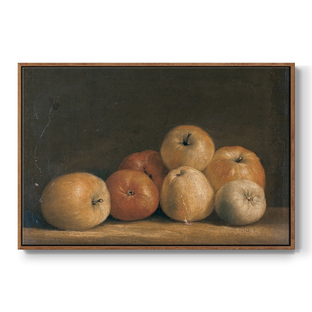 Vintage Botanical Print-LXXVIII By Wexford Home Framed in Walnut Wood Gallery Wrapped Canvas 25 in. x 37 in.