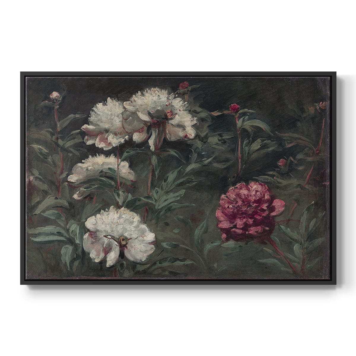 Vintage Botanical Print-LXXXVIII By Wexford Home Framed in Black Wood Gallery Wrapped Canvas 25 in. x 37 in.