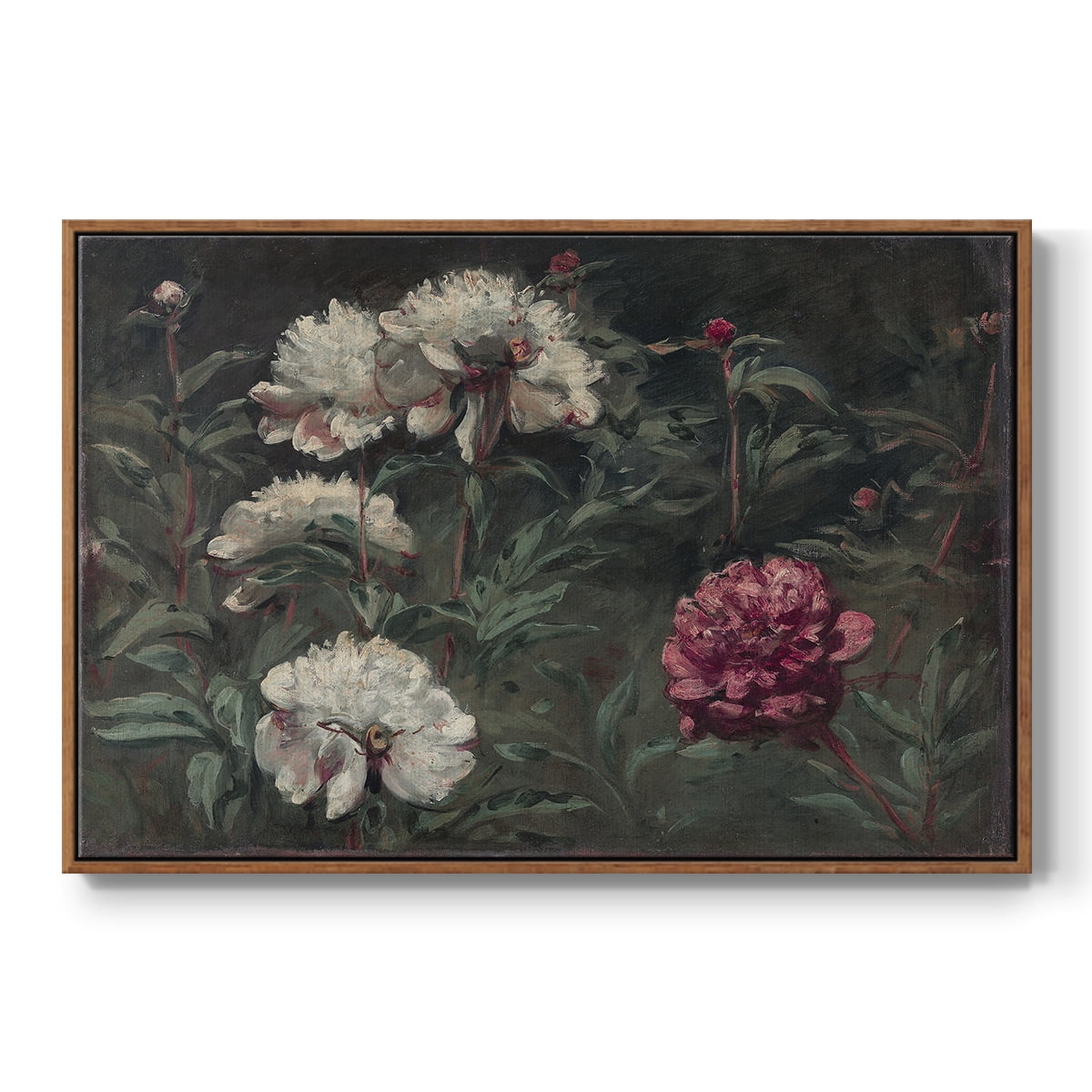 Vintage Botanical Print-LXXXVIII By Wexford Home Framed in Walnut Wood Gallery Wrapped Canvas 27 in. x 41 in.