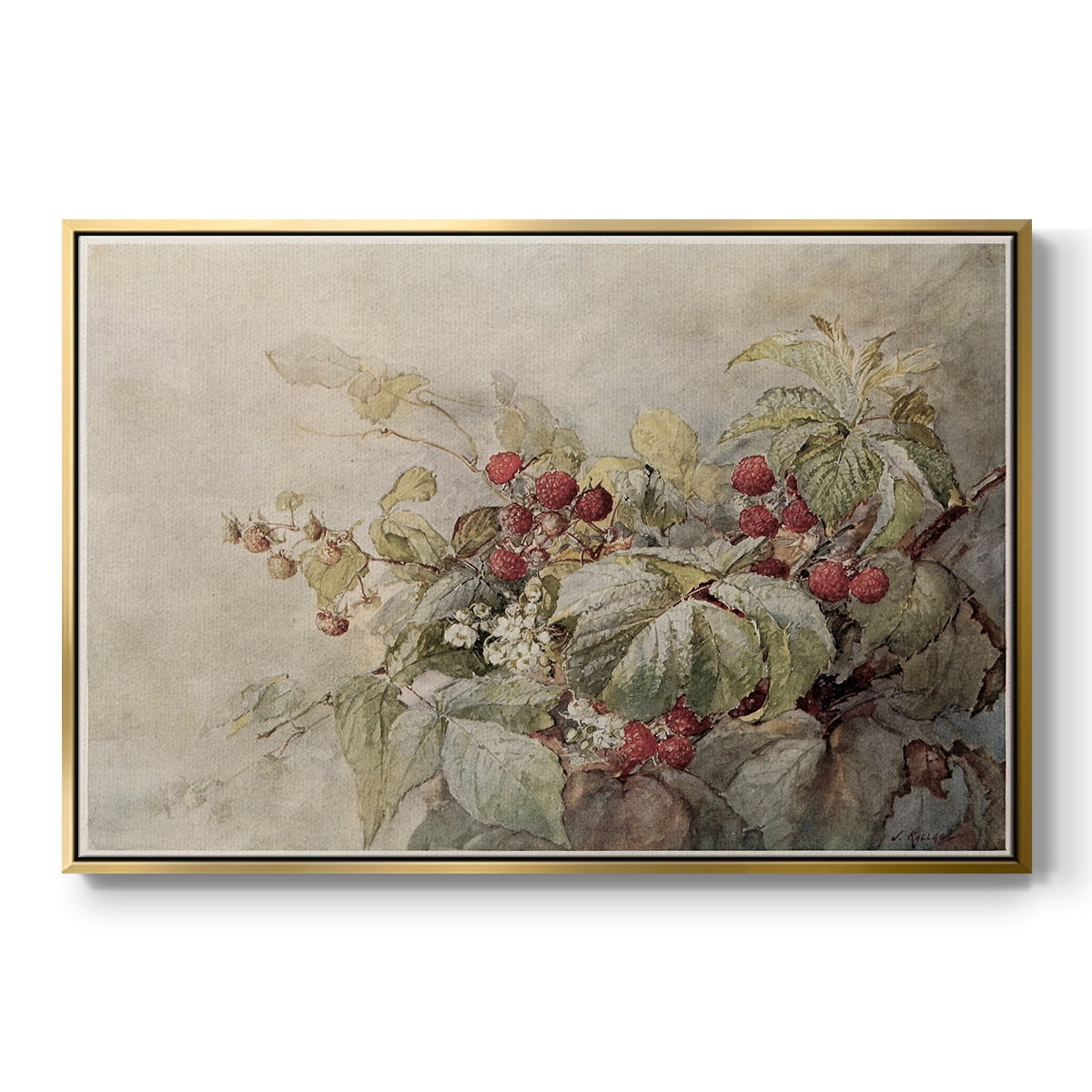 Vintage Botanical Print-V By Wexford Home Framed in Gold Wood Gallery Wrapped Canvas 17 in. x 25 in.