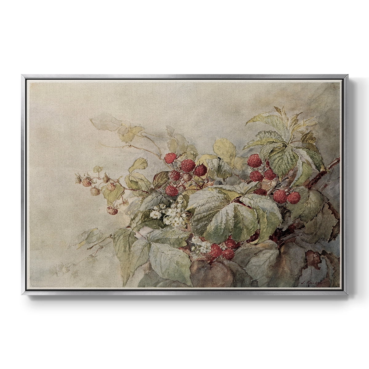 Vintage Botanical Print-V By Wexford Home Framed in Silver Wood Gallery Wrapped Canvas 27 in. x 41 in.