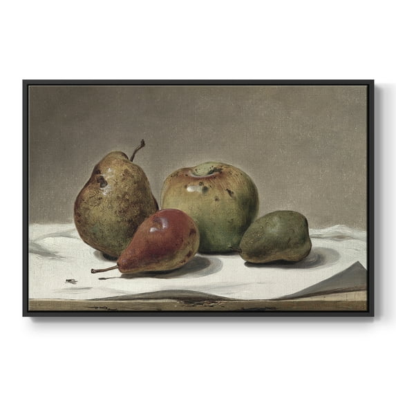 Vintage Botanical Print-VII By Wexford Home Framed in Black Wood Gallery Wrapped Canvas 27 in. x 41 in.