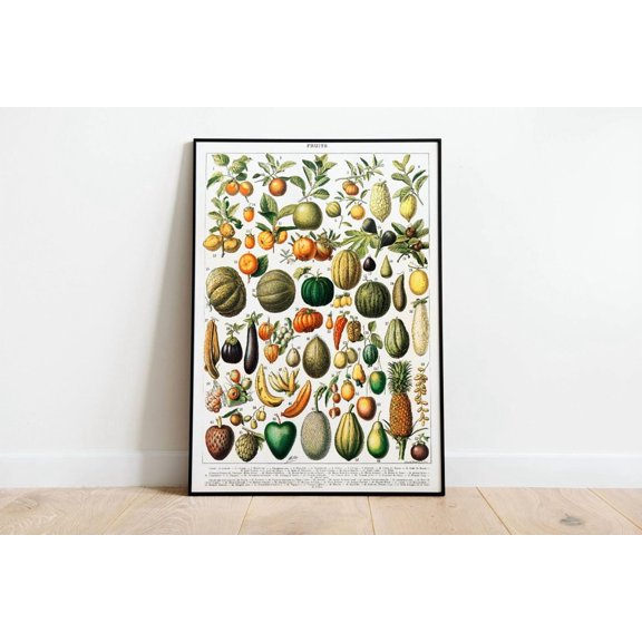Vintage Botanical Print Vegetable Garden Poster Art