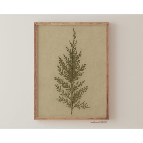 Vintage Botanical Print Wall Art Juniper and Pine Tree Illustration Antique Nature Decor for Country Homes, Unframed Paper Print