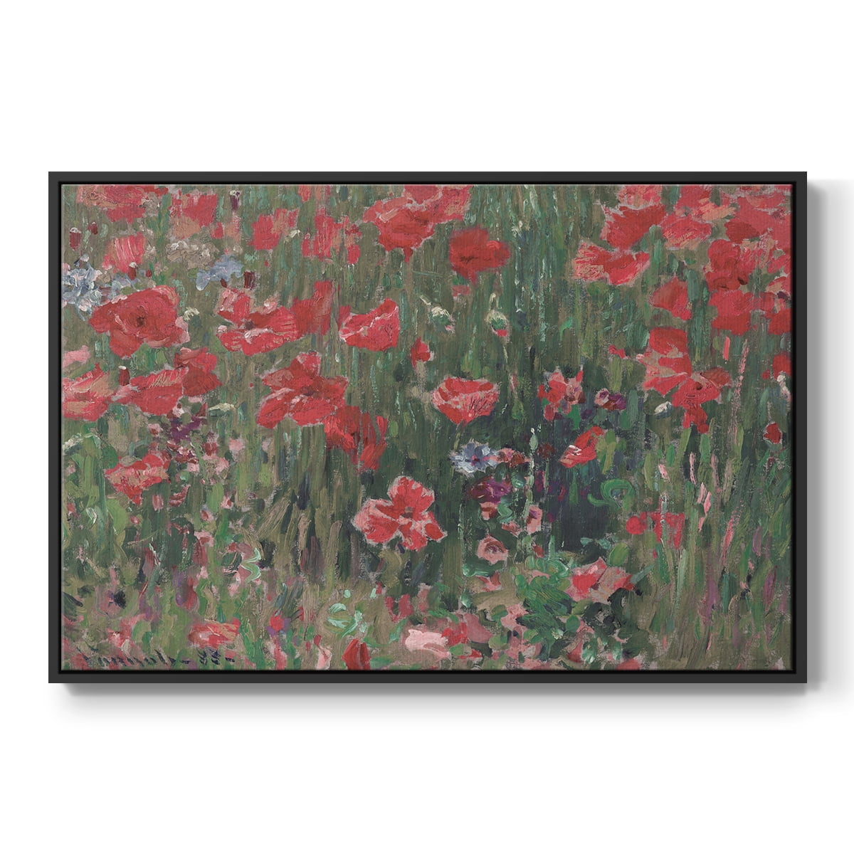Vintage Botanical Print-XCIX By Wexford Home Framed in Black Wood Gallery Wrapped Canvas 17 in. x 25 in.