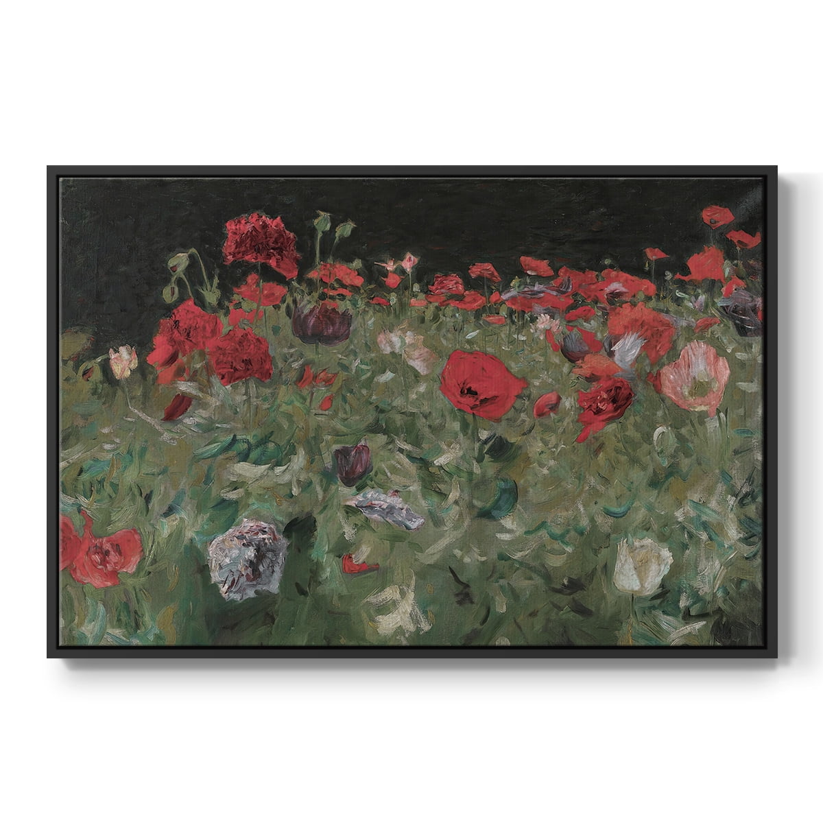 Vintage Botanical Print-XCV By Wexford Home Framed in Black Wood Gallery Wrapped Canvas 25 in. x 37 in.
