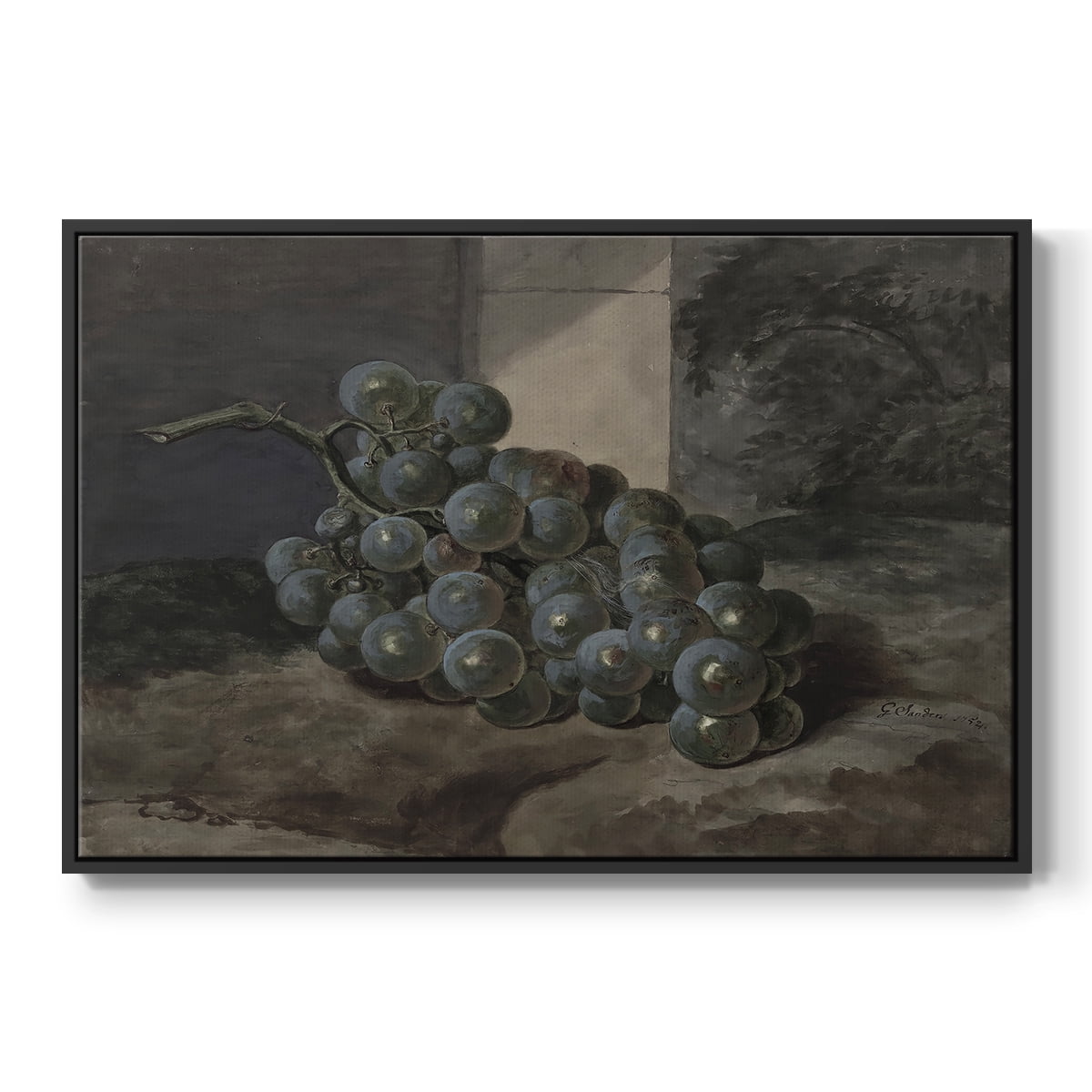 Vintage Botanical Print-XLIII By Wexford Home Framed in Black Wood Gallery Wrapped Canvas 27 in. x 41 in.