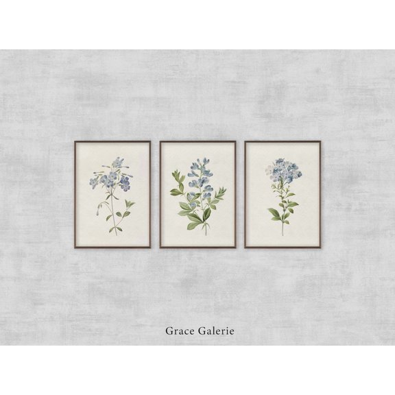 Vintage Botanical Prints Set Of 3, Rustic Gallery Wall Art