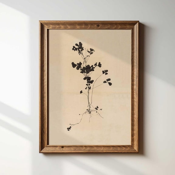 Vintage Botanical Roots Wall Art Print