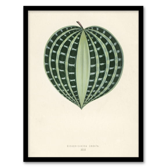 Vintage Botanical Seersucker Plant Leaf Fawcett Framed Wall Art Print 12X16"