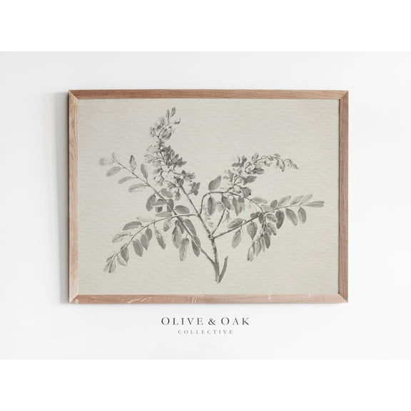 Vintage Botanical Sketch, Antique Branch Drawing, Unframed Paper Poster 8x10in