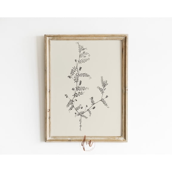 Vintage Botanical Sketch Antique Leaf Drawing Minimal Line Art Unframed Paper Print