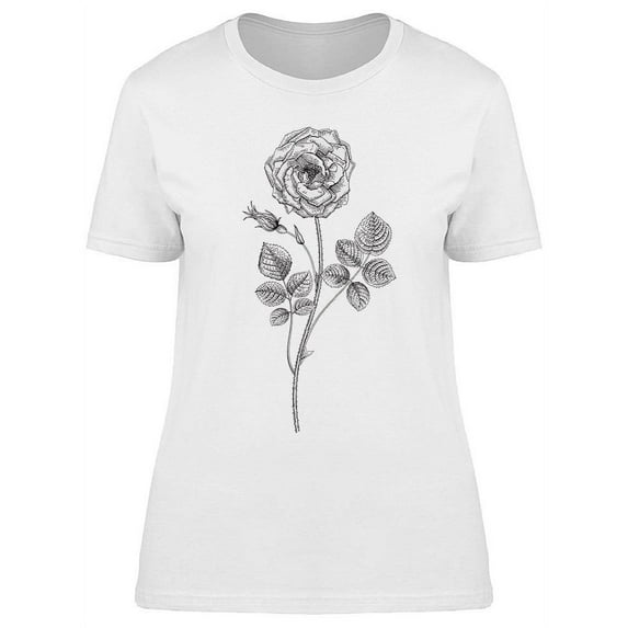 Vintage Botanical T-Shirt Women -Image by Shutterstock, Female 3X-Large