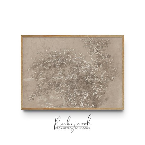 Vintage Botanical Tree Drawing Antique Pencil Nature Sketch, UNFRAMED Size 24x24