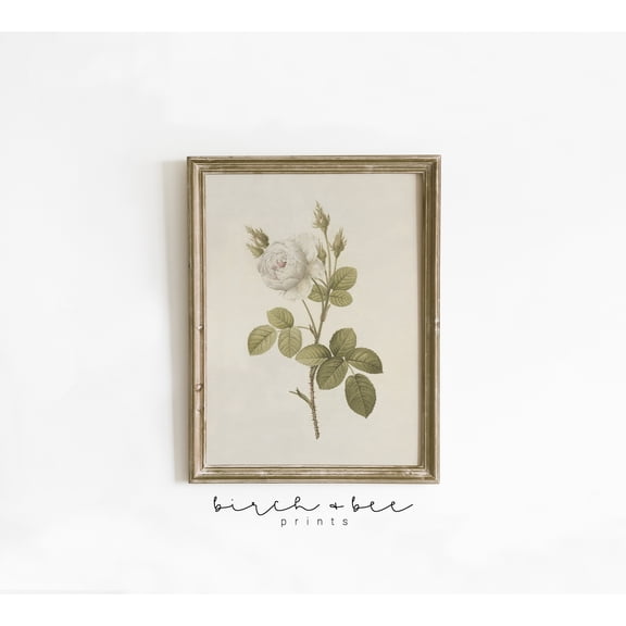 Vintage Botanical Wall Art, Antique Floral Print Greenable 54 Poster, Poster Only