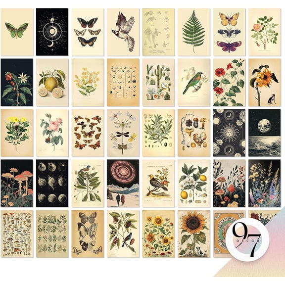 Vintage Botanical Wall Collage Kit - 40 Unframed Mini Posters (4x6) for Bedroom, Living Room & Cottagecore Decor