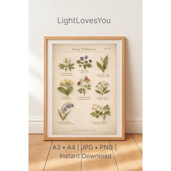 Vintage Botanical Wildflower Chart, Botanical Wall Art, Herbarium Flower Poster, Cottagecore Kitchen Decor, Natural History Print, Unframed Paper Poster 8x10in