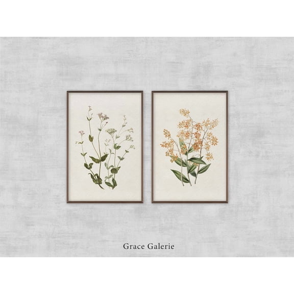 Vintage Botany Gallery Poster Set Rode En Witte Viscaria Of Pekanjer Epidendrum Polyanthum Set 2