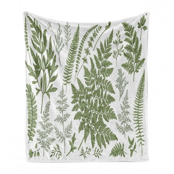 Vintage Botany Soft Flannel Fleece Blanket, Delicate Exotic Botany of Various Fern Leaves Hand Drawn Pattern, Cozy Plush for Indoor and Outdoor Use, 50" x 70", Sage Green and White, by Ambesonne