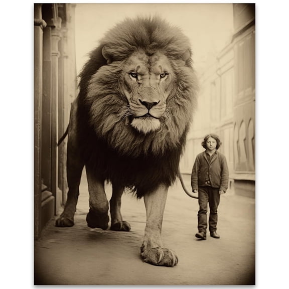 Vintage Boy Walks Massive Lion on a Leash in the Street Poster Weird, Bizarre, Strange, Oddities, Unusual, Freaky, Creepy, Scary, and Antique Style Decoration