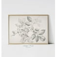thumbnail image 1 of Vintage Branch Sketch Art, Antique Botanical Drawing, Neutral Floral Sketch, Rustic Farmhouse Wall Decor, Home Decor #174, 8x12 UNFRAMED, 1 of 3