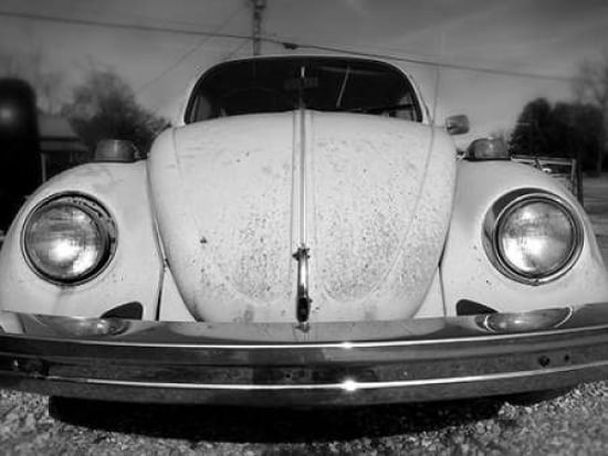 Vintage Bug Canvas Art - Robert Jones (22 x 28)