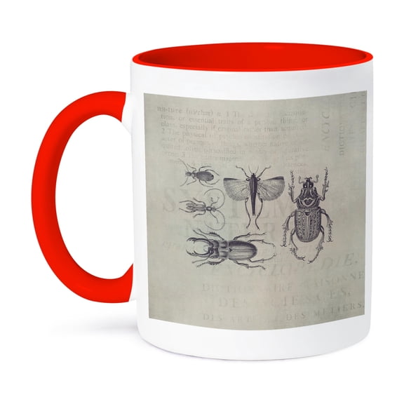 3dRose, Vintage Bugs And Beetles Illustration, 11oz Two-Tone Red Mug