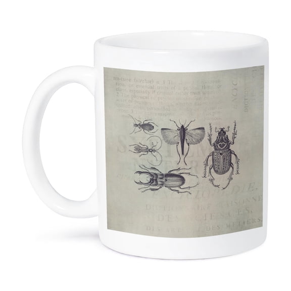 Vintage Bugs And Beetles Illustration, 15oz Mug