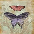 thumbnail image 1 of Vintage Butterflies IV Poster Print by Paul Brent (24 x 24), 1 of 2