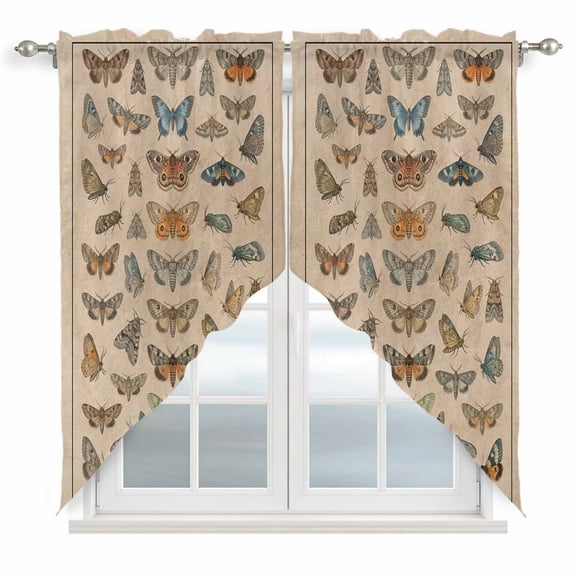 Vintage Butterflies Swag Curtains for Living Room/Bedroom, Retro Animal Biological Atlas Brown Swag Kitchen Curtain Valances for Windows, Tier Topper Scalloped Curtain 2 Panels, 72"W x 36"L