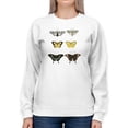 thumbnail image 1 of Vintage Butterflies Vi Sweatshirt Women -Vision Studio Designs, Female 4X-Large, 1 of 4