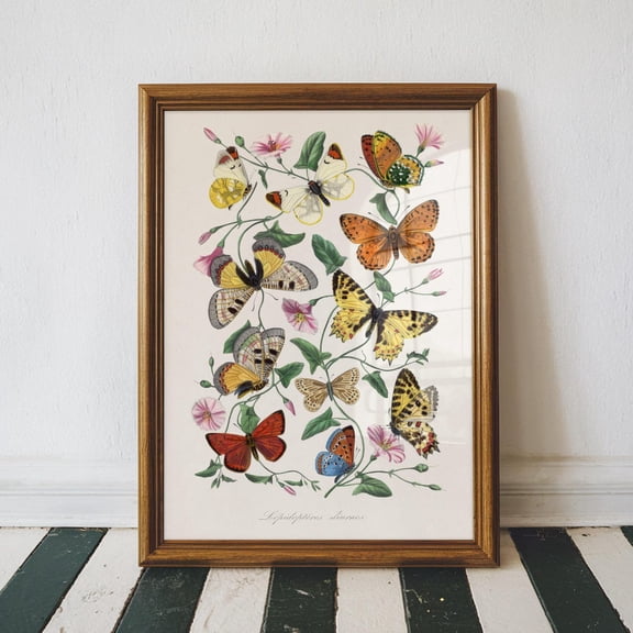 Vintage Butterfly And Moth Poster, Floral Wall Art, Vintage Science Poster Wall Art Decor, Housewarming, Insect Lover, Unframed Poster Size 24x36
