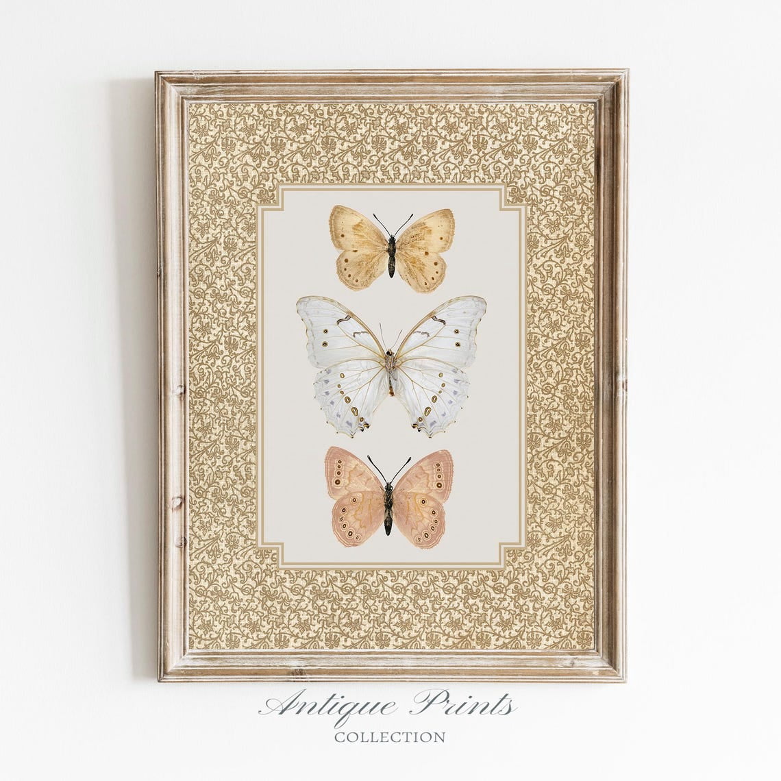 Vintage Butterfly Art Print, Cottagecore Neutral Decor, Antique Moth ...