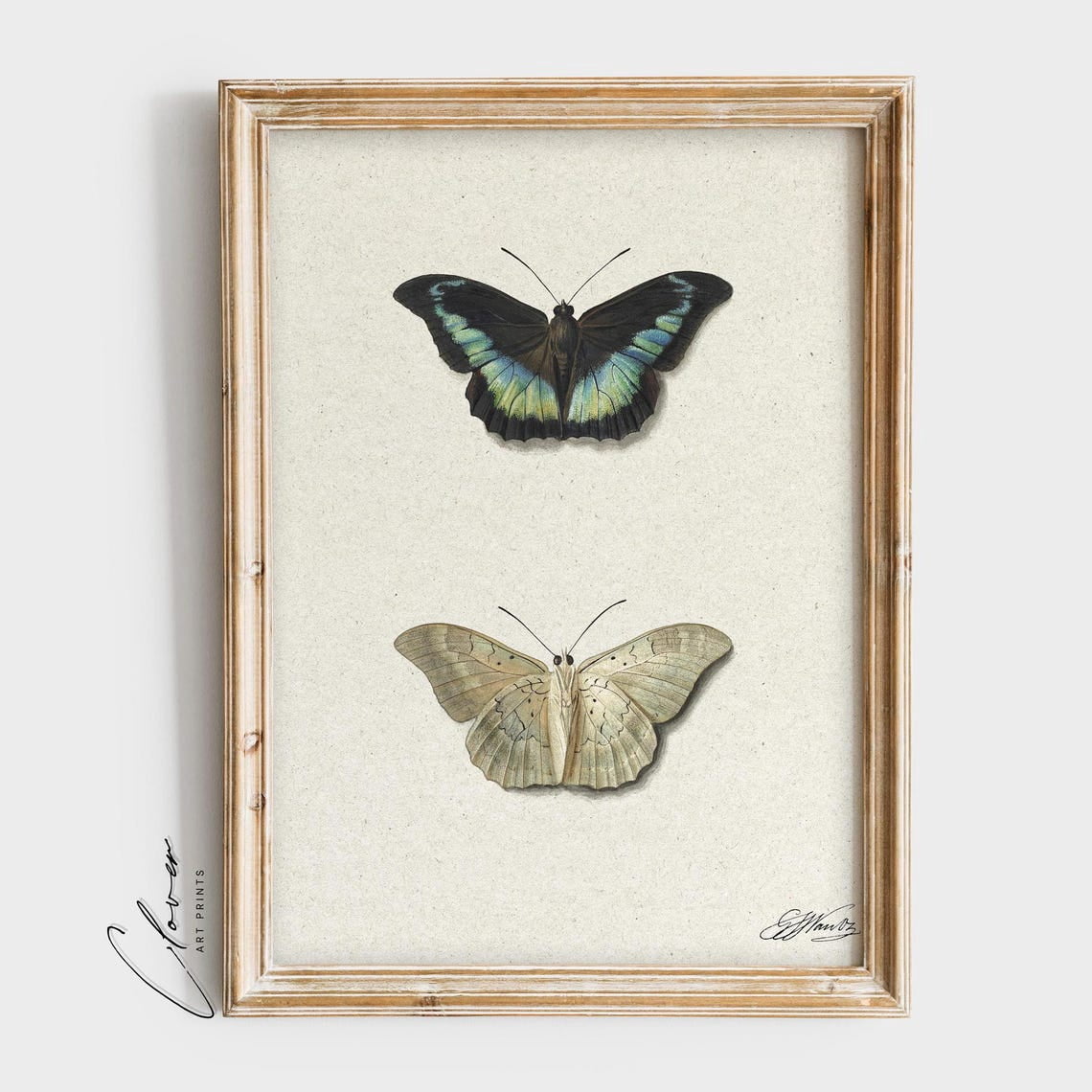 Vintage Butterfly Insect Minimal Nursery Wall Art Poster - Walmart.com