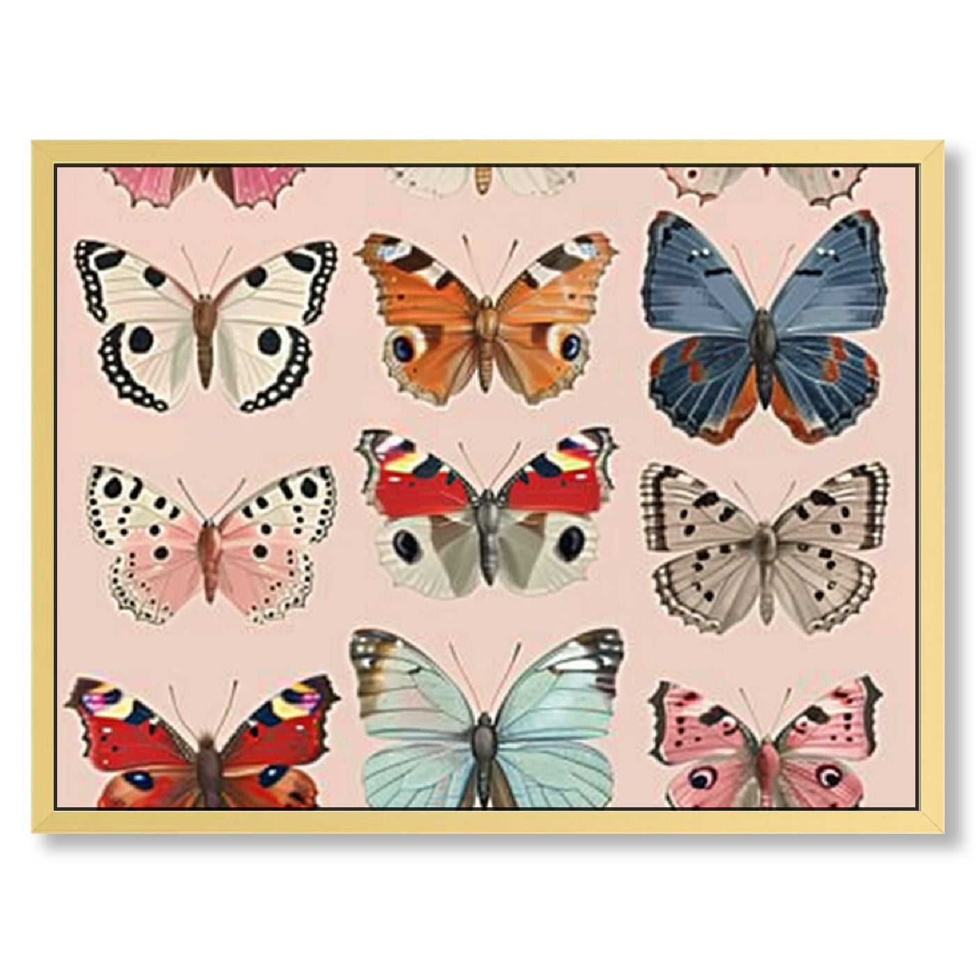 Vintage Butterfly Art Print with Pennsylvania Oak Frame