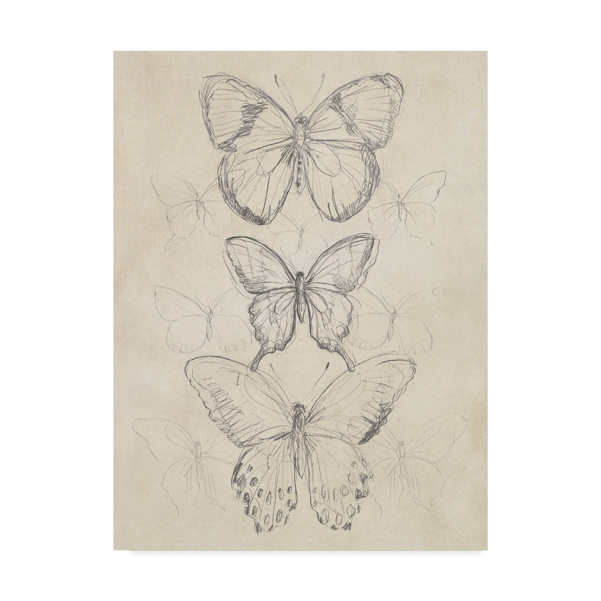 Vintage Beige and Gray Butterfly Sketch Canvas Art