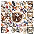 thumbnail image 1 of Vintage Butterfly Stickers, Waterproof Butterfly Sticker for Water Bottle Laptop Phone Cases Planner Skateboard Luggage Helmet Party Favor Decor, Ideal for Adults Teens Teacher Rewards, 1 of 9