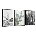 thumbnail image 1 of Vintage Cacti Triptych, 1 of 6