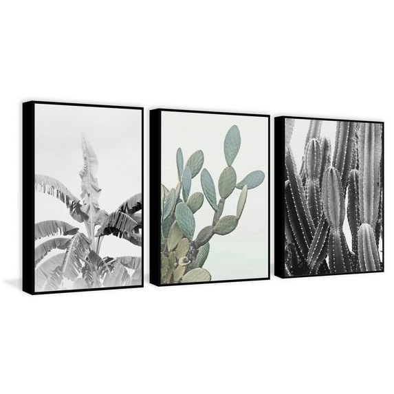 Vintage Cacti Triptych